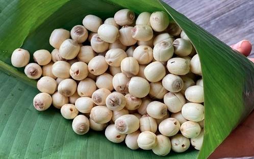 Bán hạt sen tươi quận 7 TPHCM ngon bao mềm không sượng