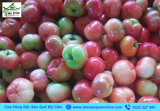 Mua bán trái sơ ri Gò Công tại TPHCM