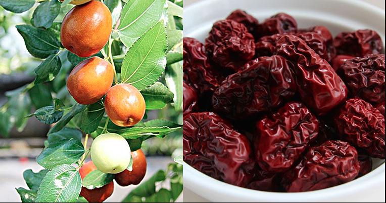 Cách sử dụng táo tàu với các món ngon bổ dưỡng
