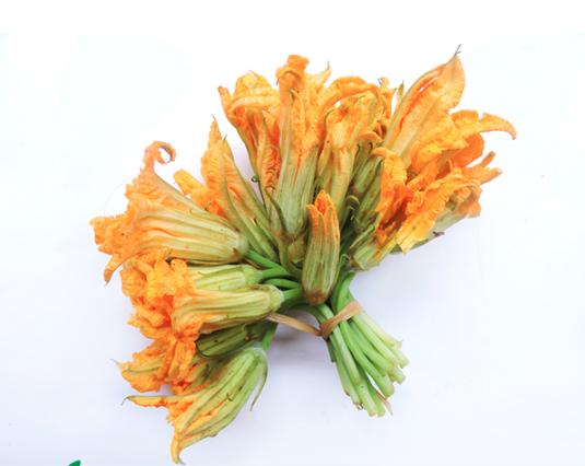 Bông bí vàng quận 7 TPHCM