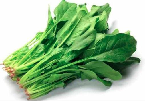 Cải bó xôi quận 7