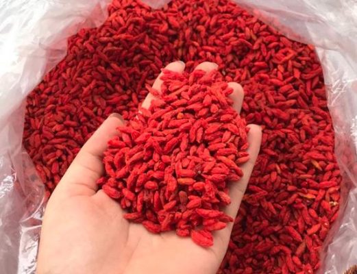 câu kỷ tử tại quận 7 tphcm