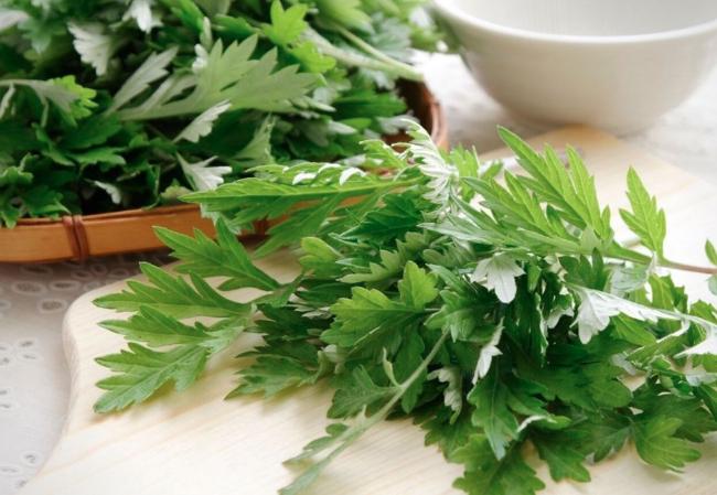 Địa chỉ bán cây ngải cứu quận 7 uy tín