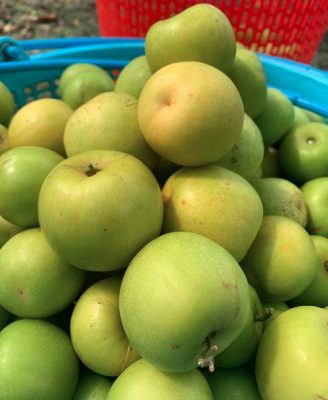 Bán táo hồng miền tây tại Quận 7