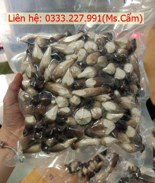 Bán nấm mối tại Quận 7