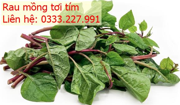 rau-mong-toi-tim-tai-quan-7